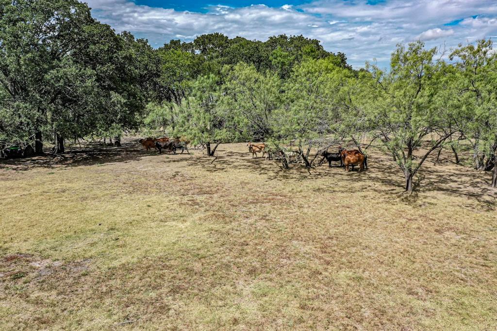 637 Lyman T Davis Road Corsicana, TX 75110 - Photo 11 of 34 a view of a yard with a tree