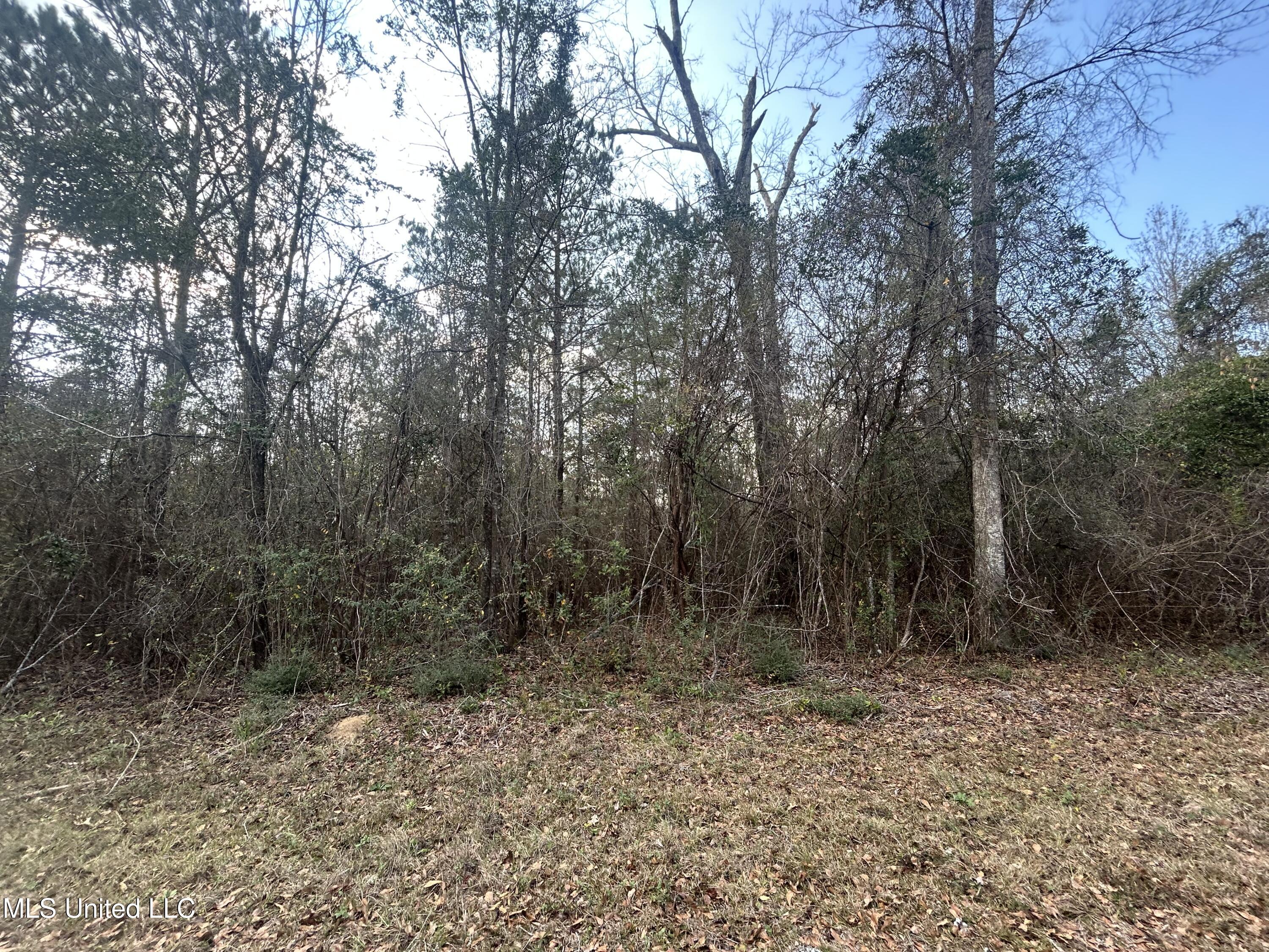 Robert Rhodes Road Poplarville, MS 39470 - Photo 12 of 17 IMG_1037