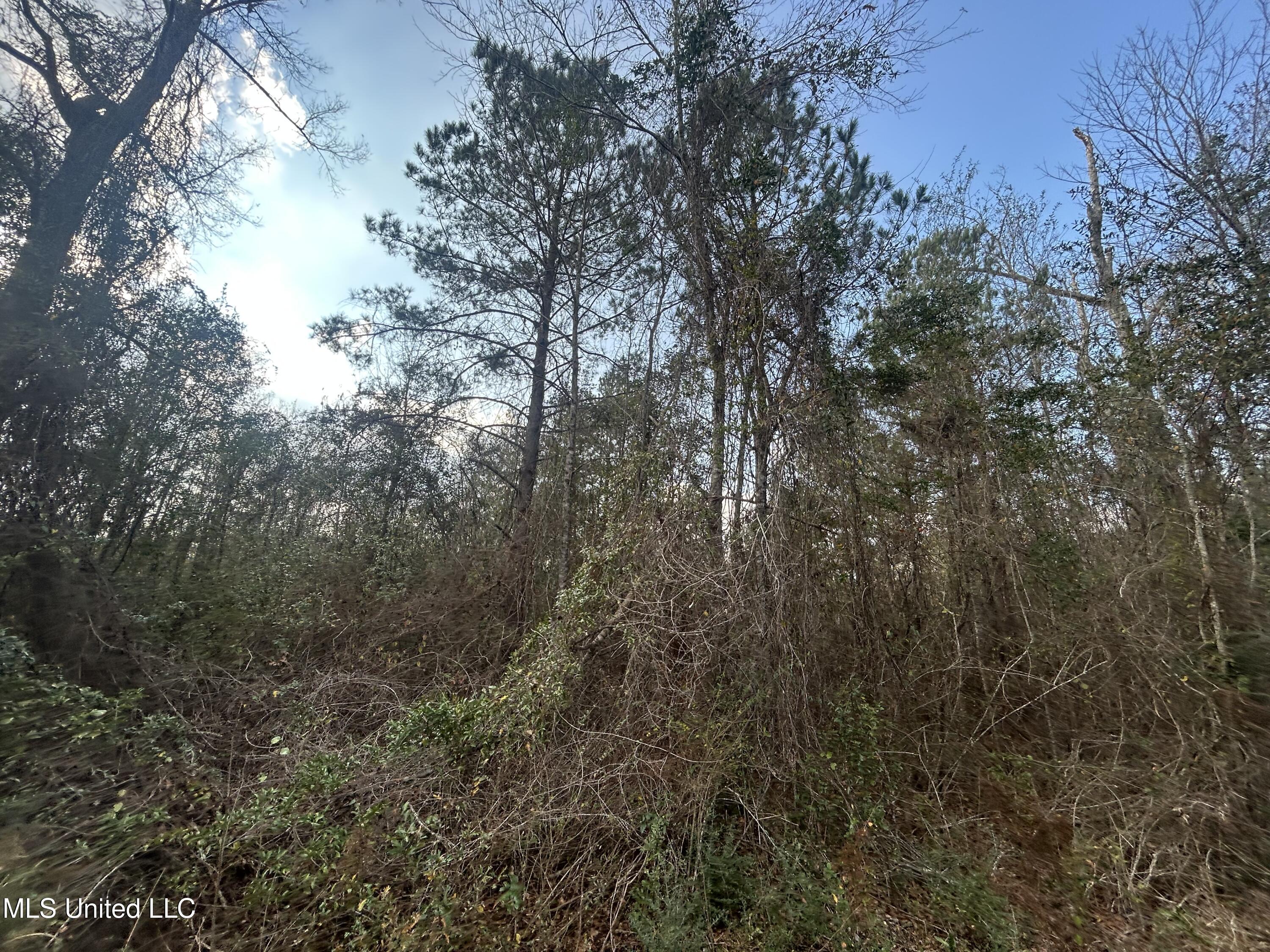 Robert Rhodes Road Poplarville, MS 39470 - Photo 13 of 17 IMG_1039