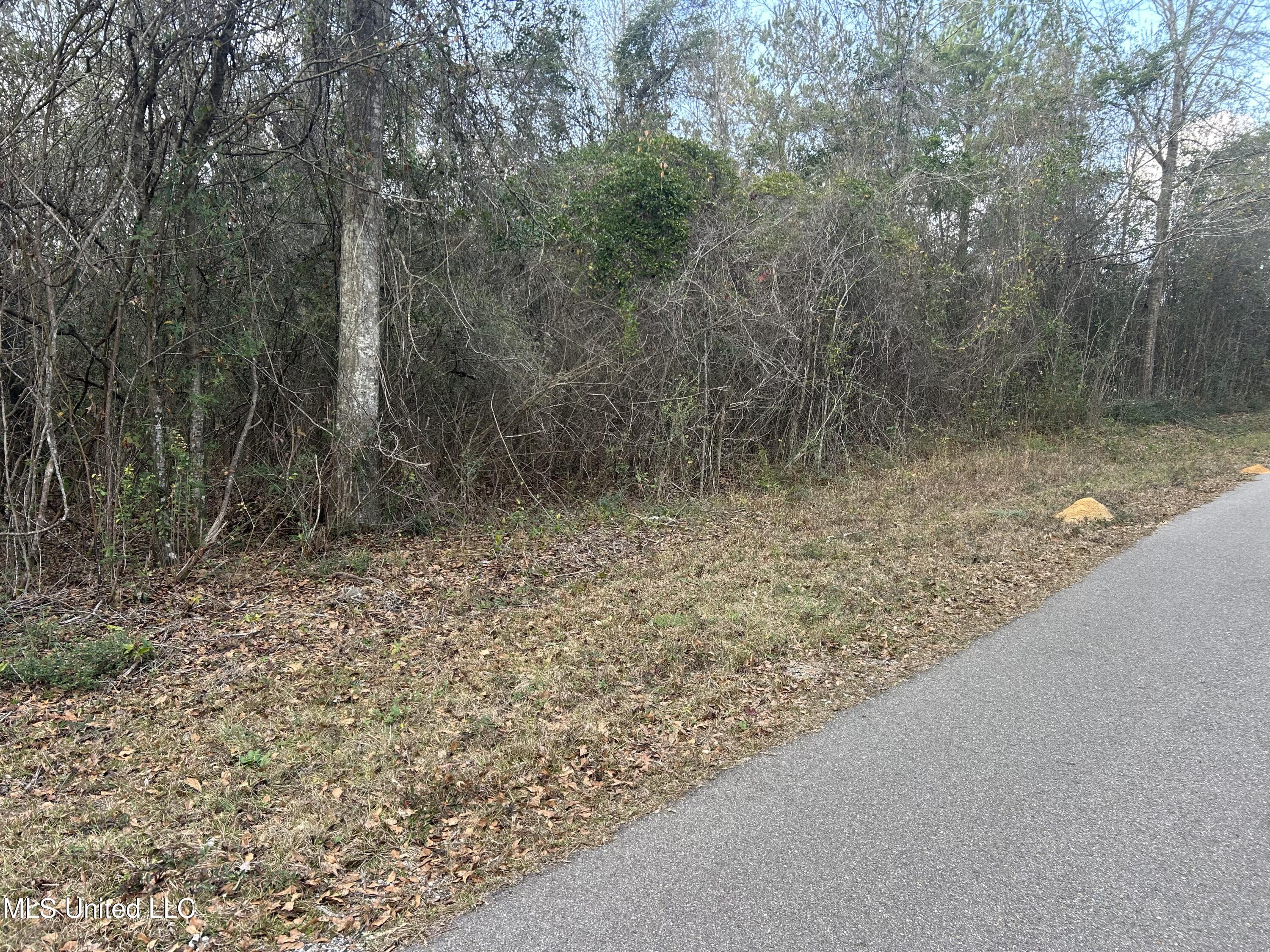 Robert Rhodes Road Poplarville, MS 39470 - Photo 14 of 17 IMG_1036