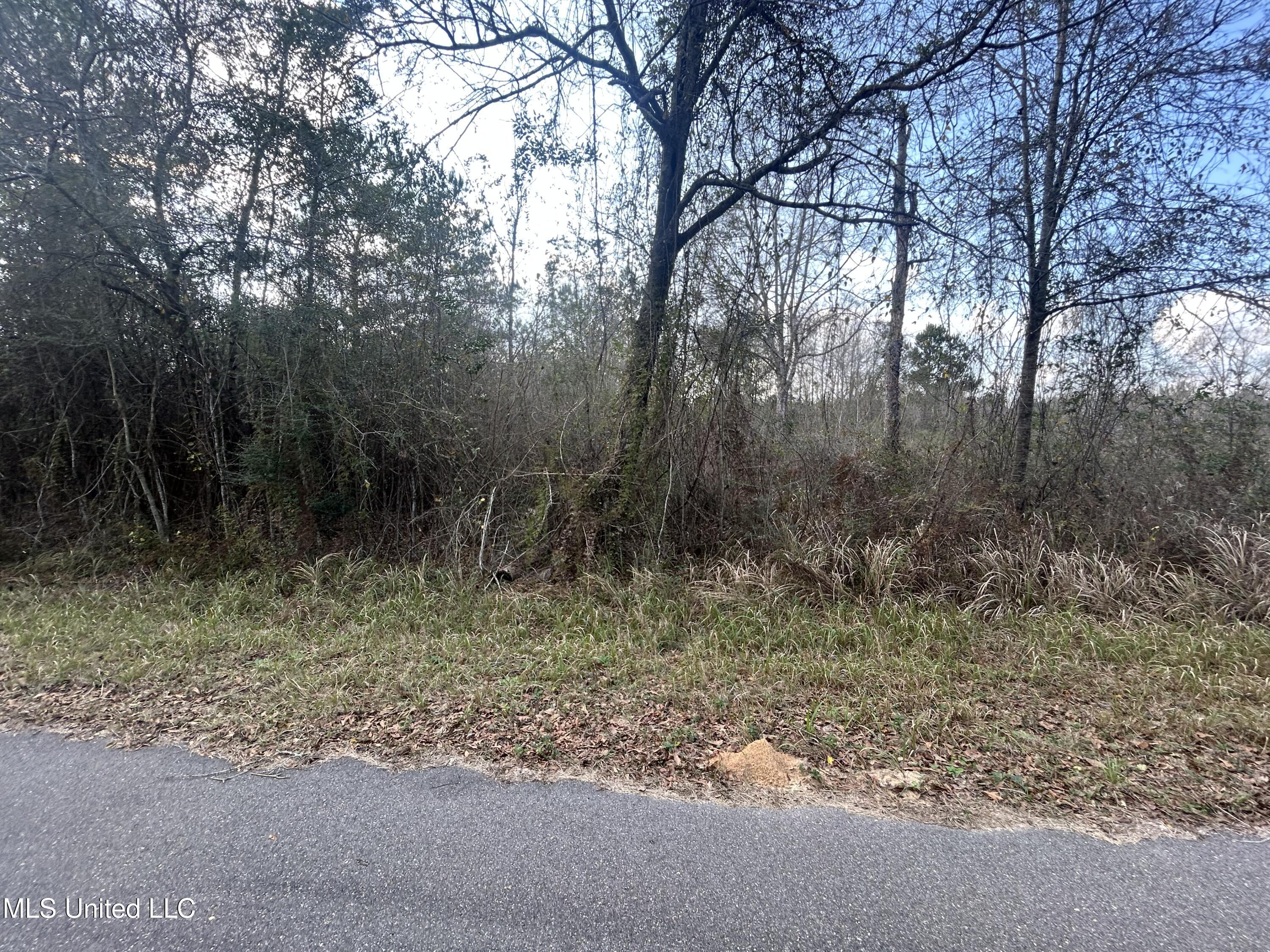 Robert Rhodes Road Poplarville, MS 39470 - Photo 15 of 17 IMG_1032