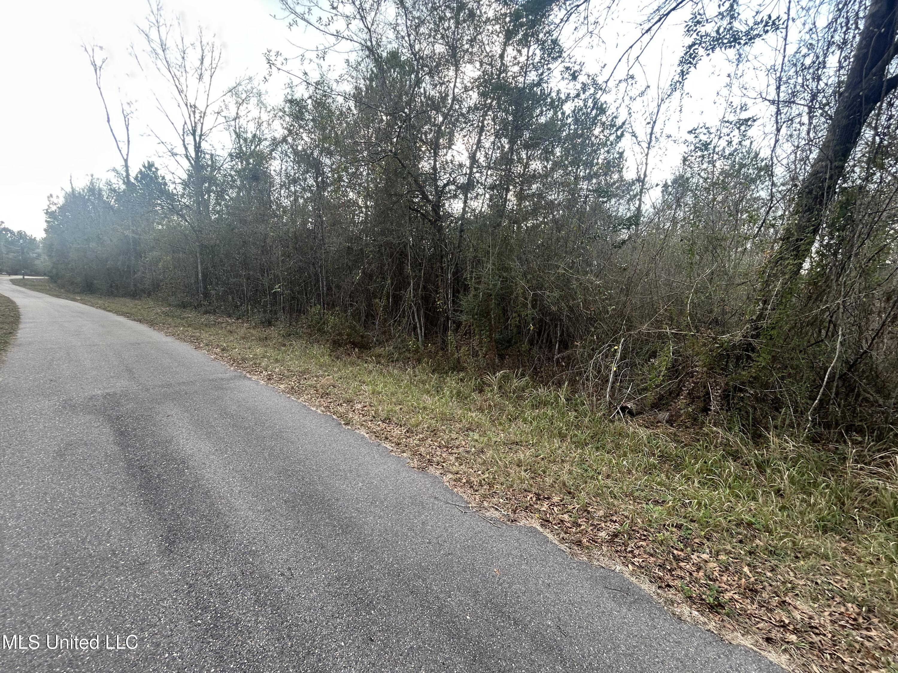 Robert Rhodes Road Poplarville, MS 39470 - Photo 16 of 17 IMG_1033