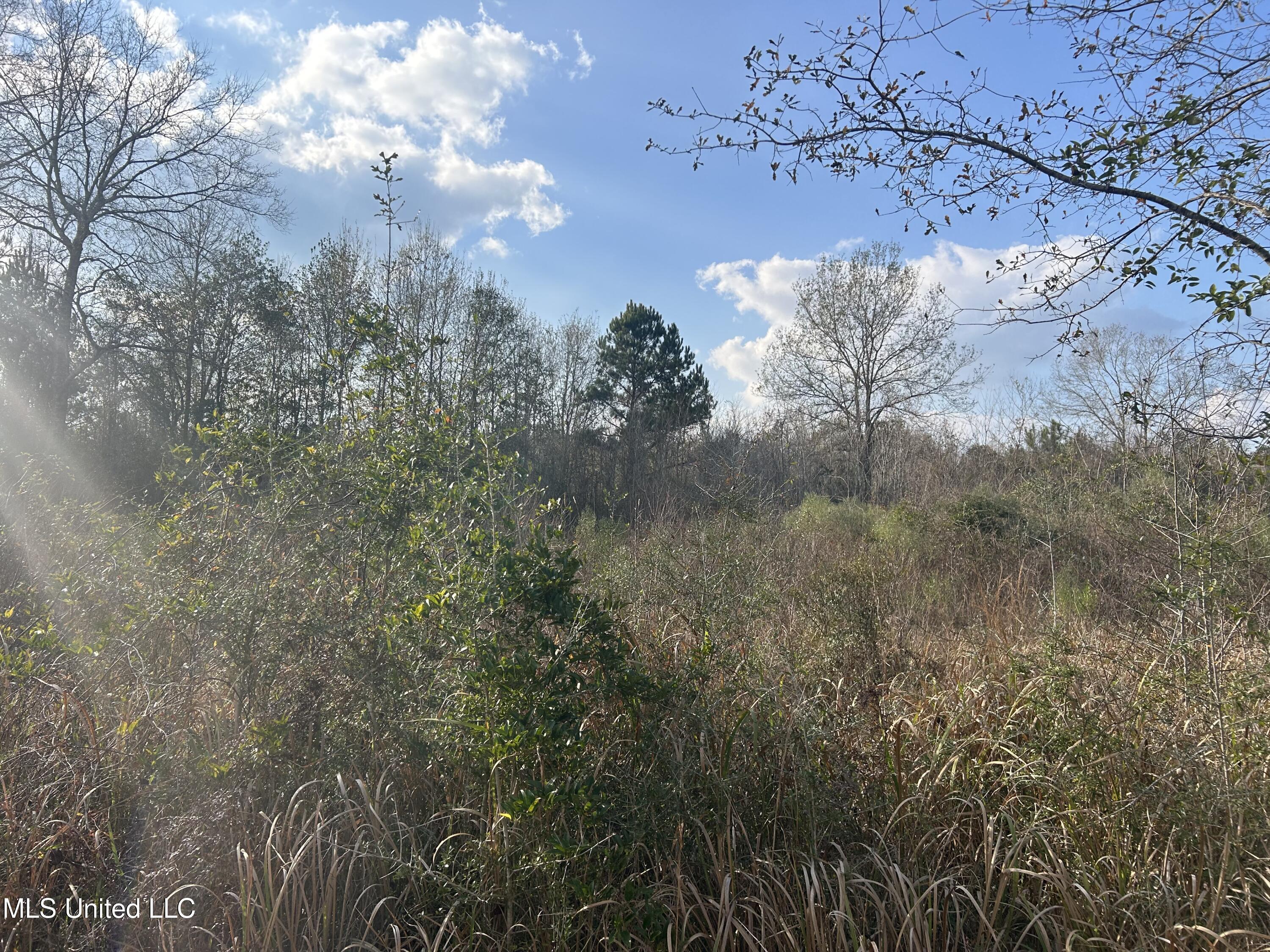 Robert Rhodes Road Poplarville, MS 39470 - Photo 7 of 17 IMG_1055