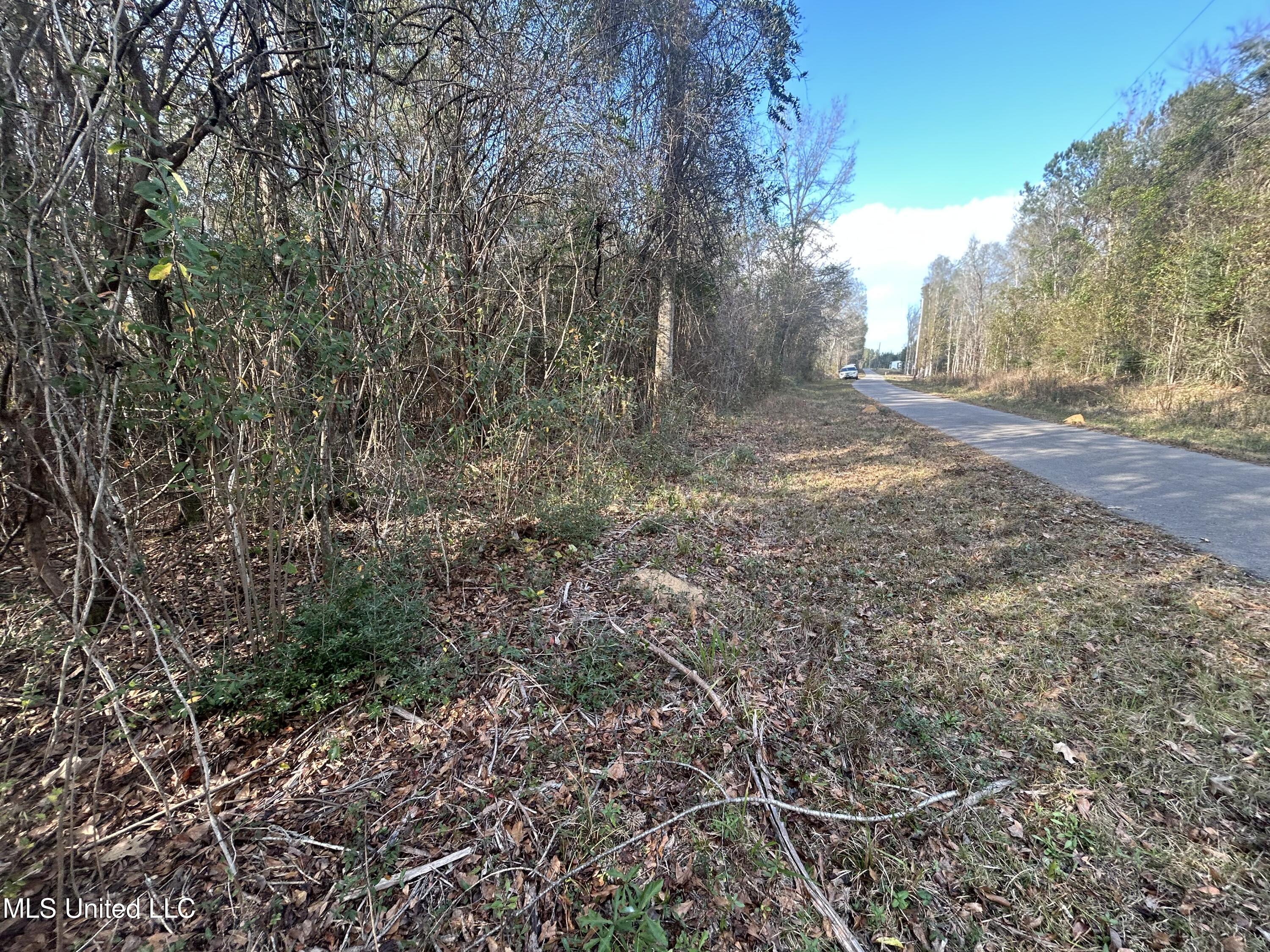 Robert Rhodes Road Poplarville, MS 39470 - Photo 10 of 17 IMG_1044