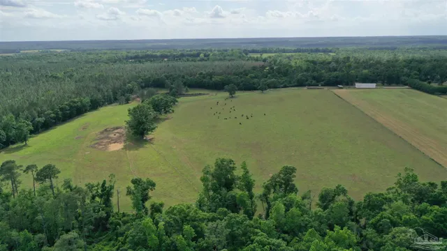 a view of a lake with a yard