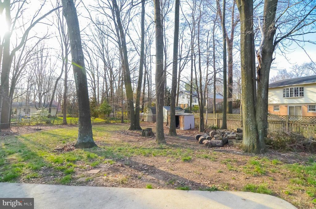 6313 Bardu Avenue Springfield, VA 22152 - Photo 29 of 29 Exterior (Rear)