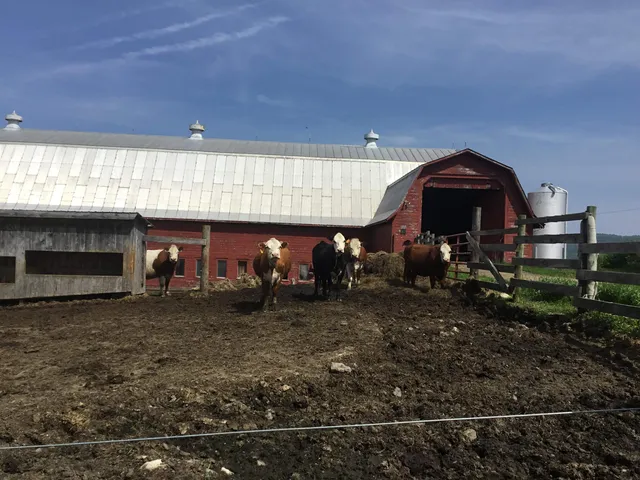 $1,395,000 | 338 Johnson Road, Marshfield, VT 05658