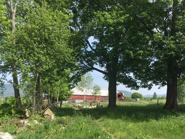 $1,395,000 | 338 Johnson Road, Marshfield, VT 05658