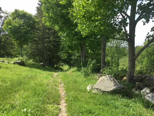 $1,395,000 | 338 Johnson Road, Marshfield, VT 05658