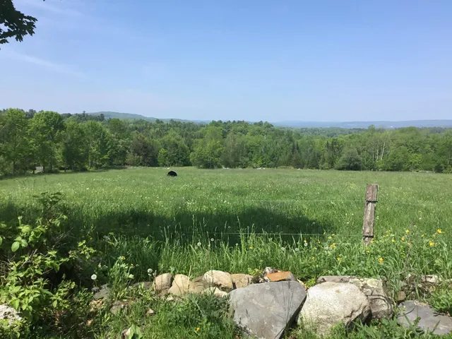 $1,395,000 | 338 Johnson Road, Marshfield, VT 05658