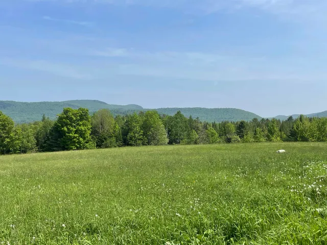 $1,395,000 | 338 Johnson Road, Marshfield, VT 05658