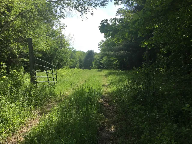 $1,395,000 | 338 Johnson Road, Marshfield, VT 05658