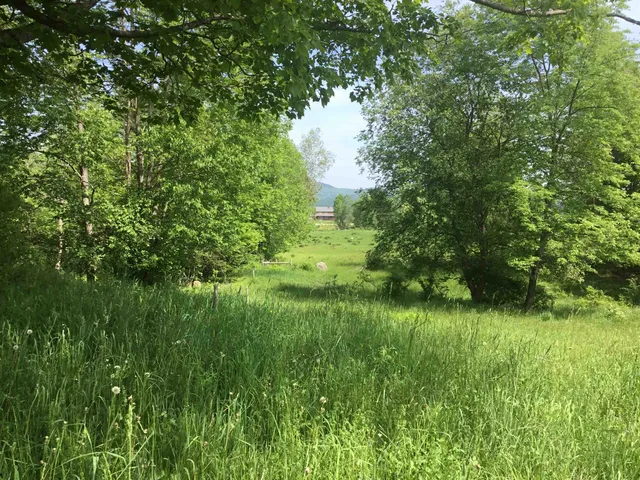 $1,395,000 | 338 Johnson Road, Marshfield, VT 05658