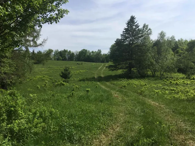 $1,395,000 | 338 Johnson Road, Marshfield, VT 05658