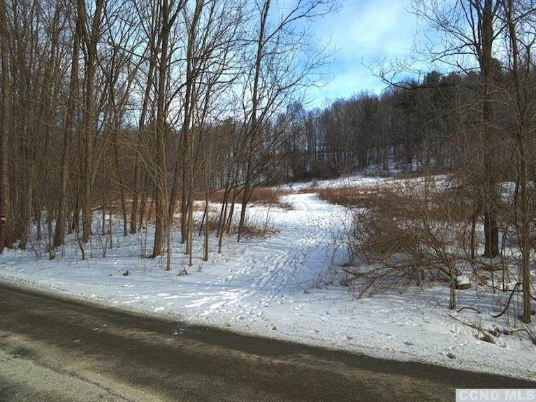 0 Pitts Road Chatham, NY 00000 - Photo 3 of 6 Photo 3