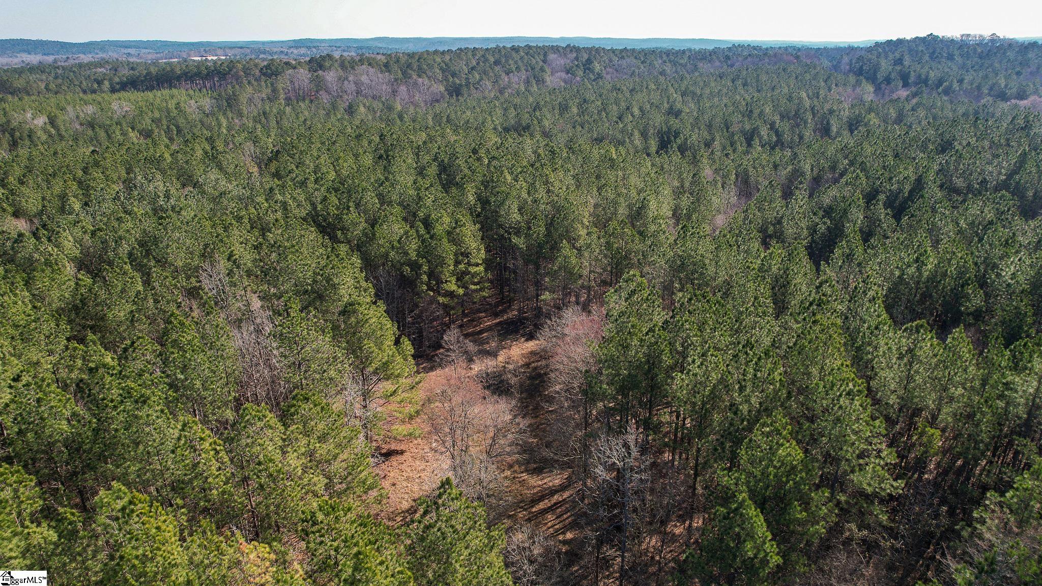 10 Neal Shoals Road Union, SC 29379 - Photo 13 of 19 Gallery Image 13