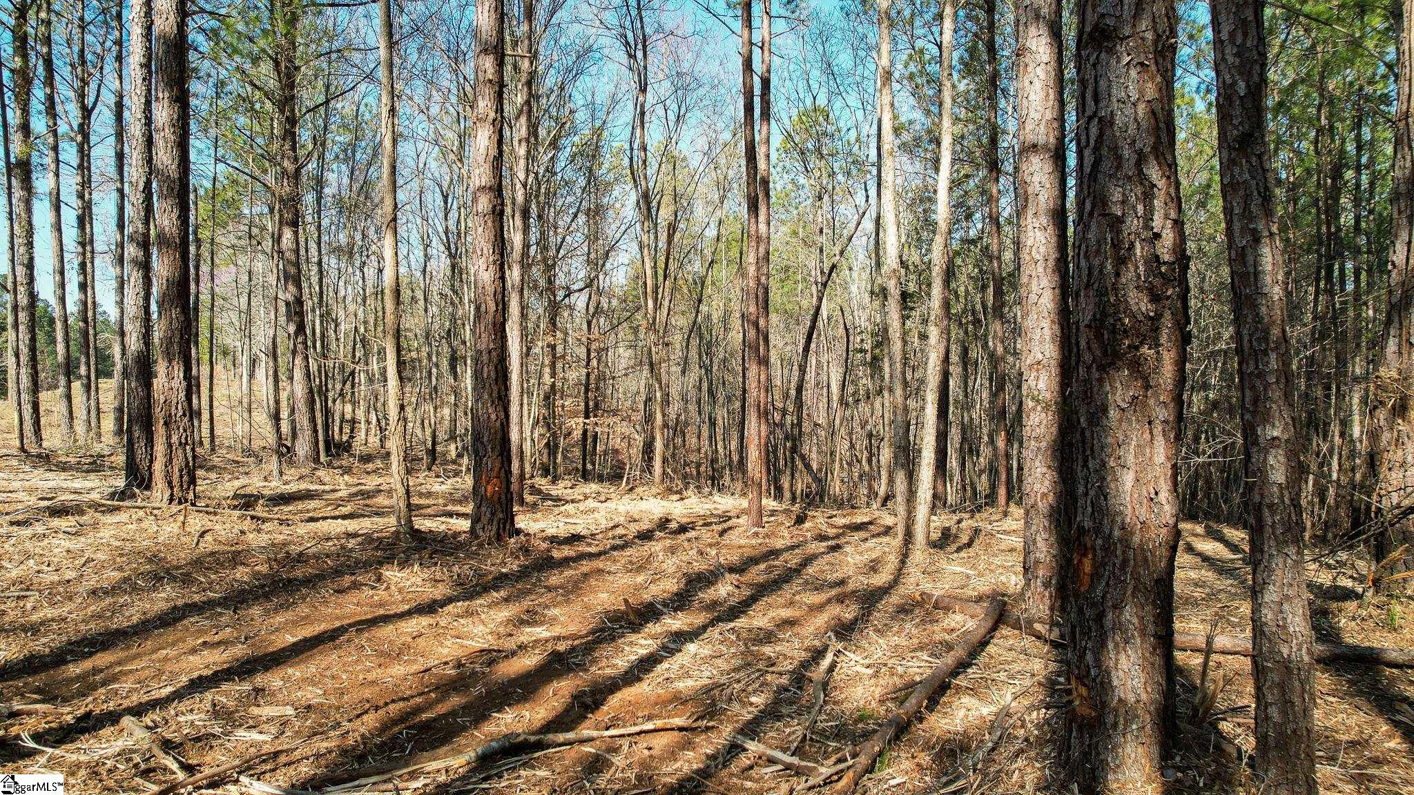 10 Neal Shoals Road Union, SC 29379 - Photo 18 of 19 Gallery Image 18