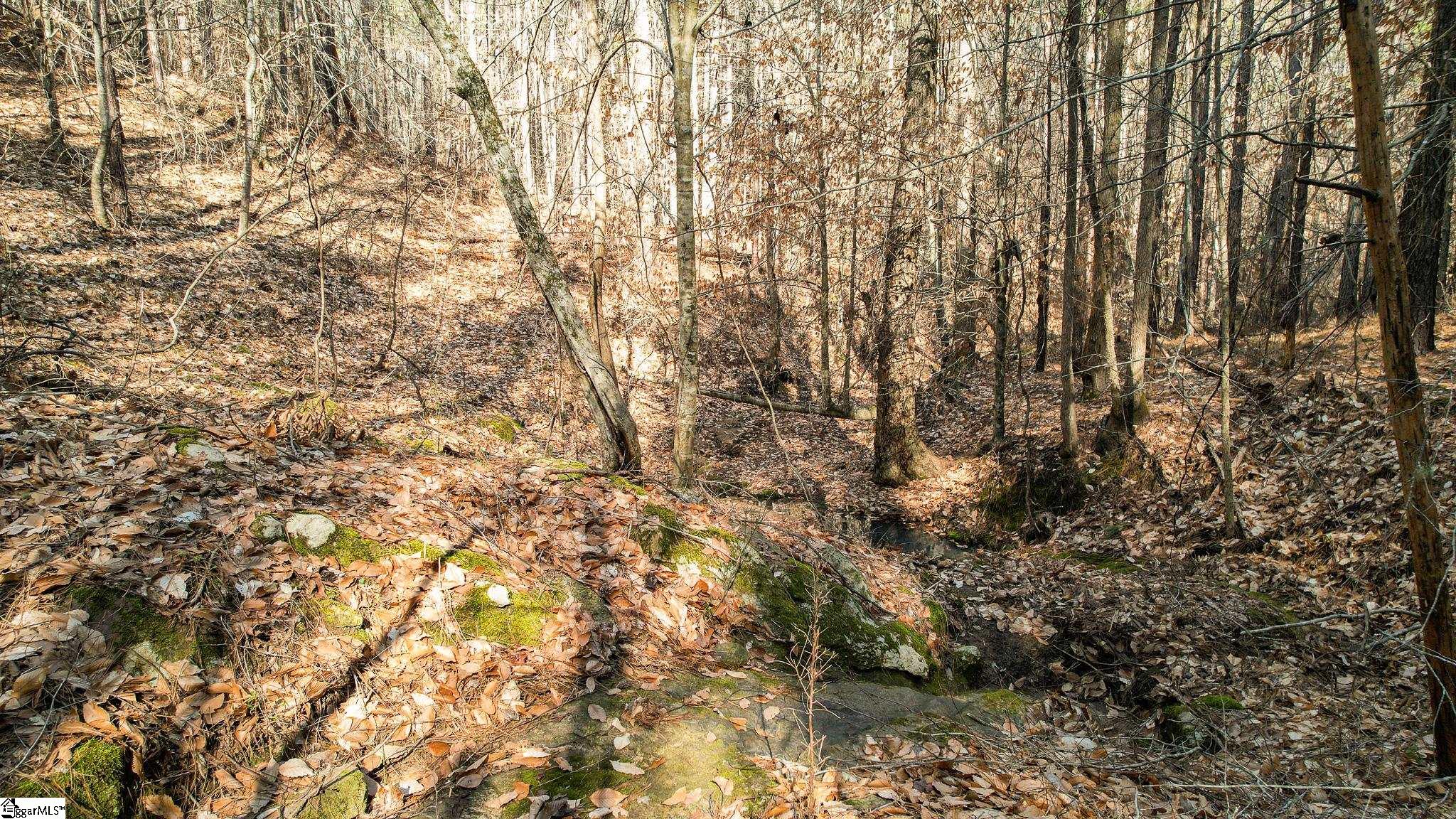 10 Neal Shoals Road Union, SC 29379 - Photo 4 of 19 Gallery Image 4