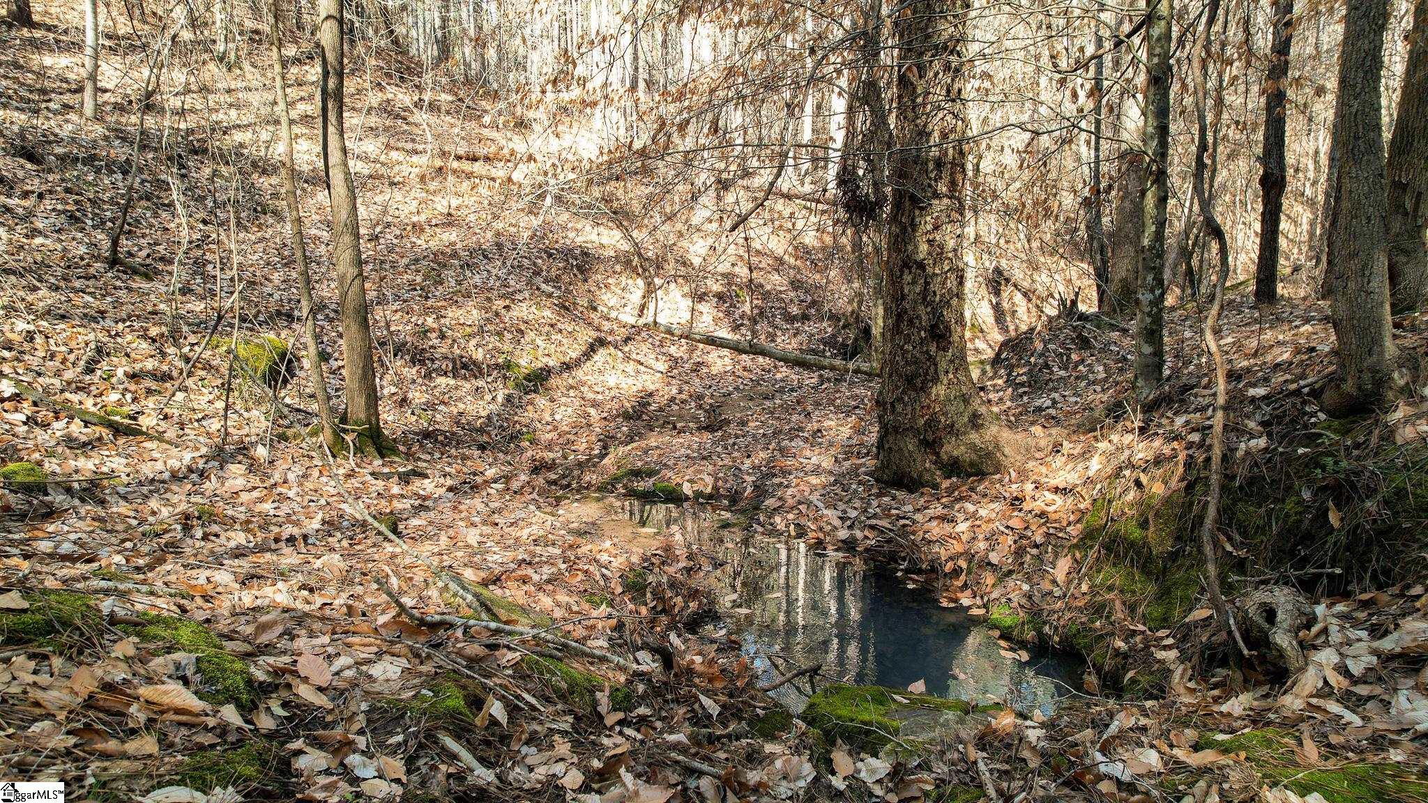 10 Neal Shoals Road Union, SC 29379 - Photo 7 of 19 Gallery Image 7