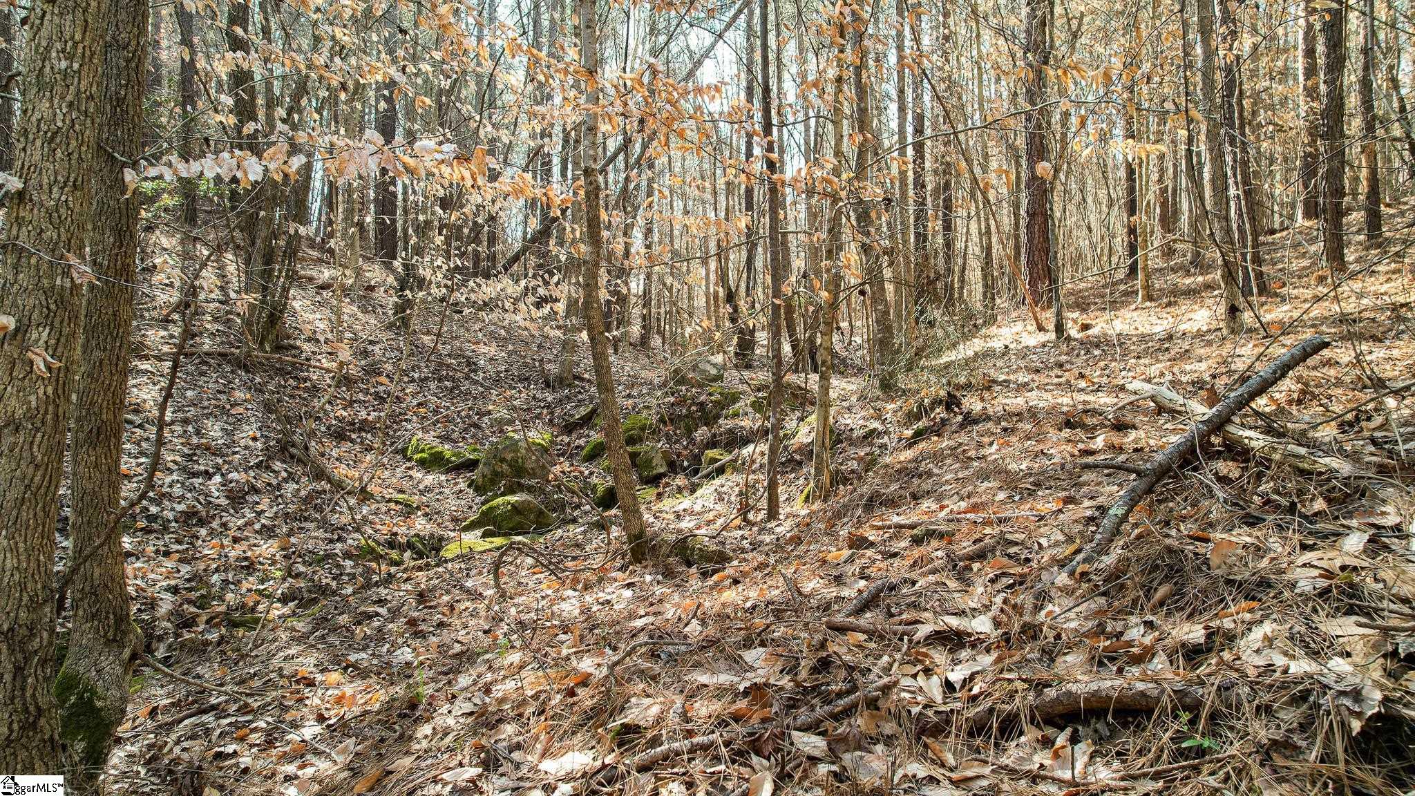 10 Neal Shoals Road Union, SC 29379 - Photo 8 of 19 Gallery Image 8