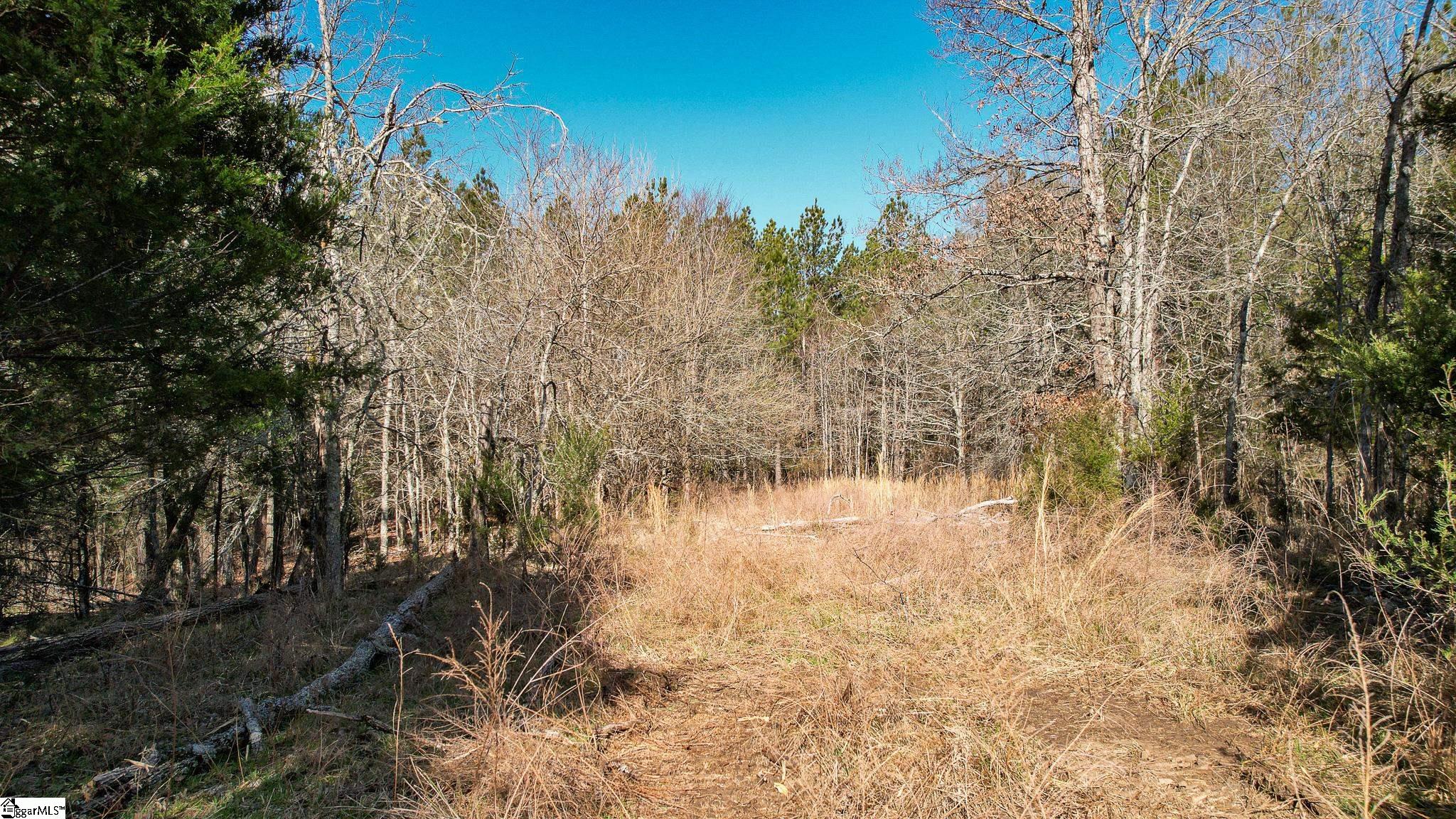 10 Neal Shoals Road Union, SC 29379 - Photo 9 of 19 Gallery Image 9
