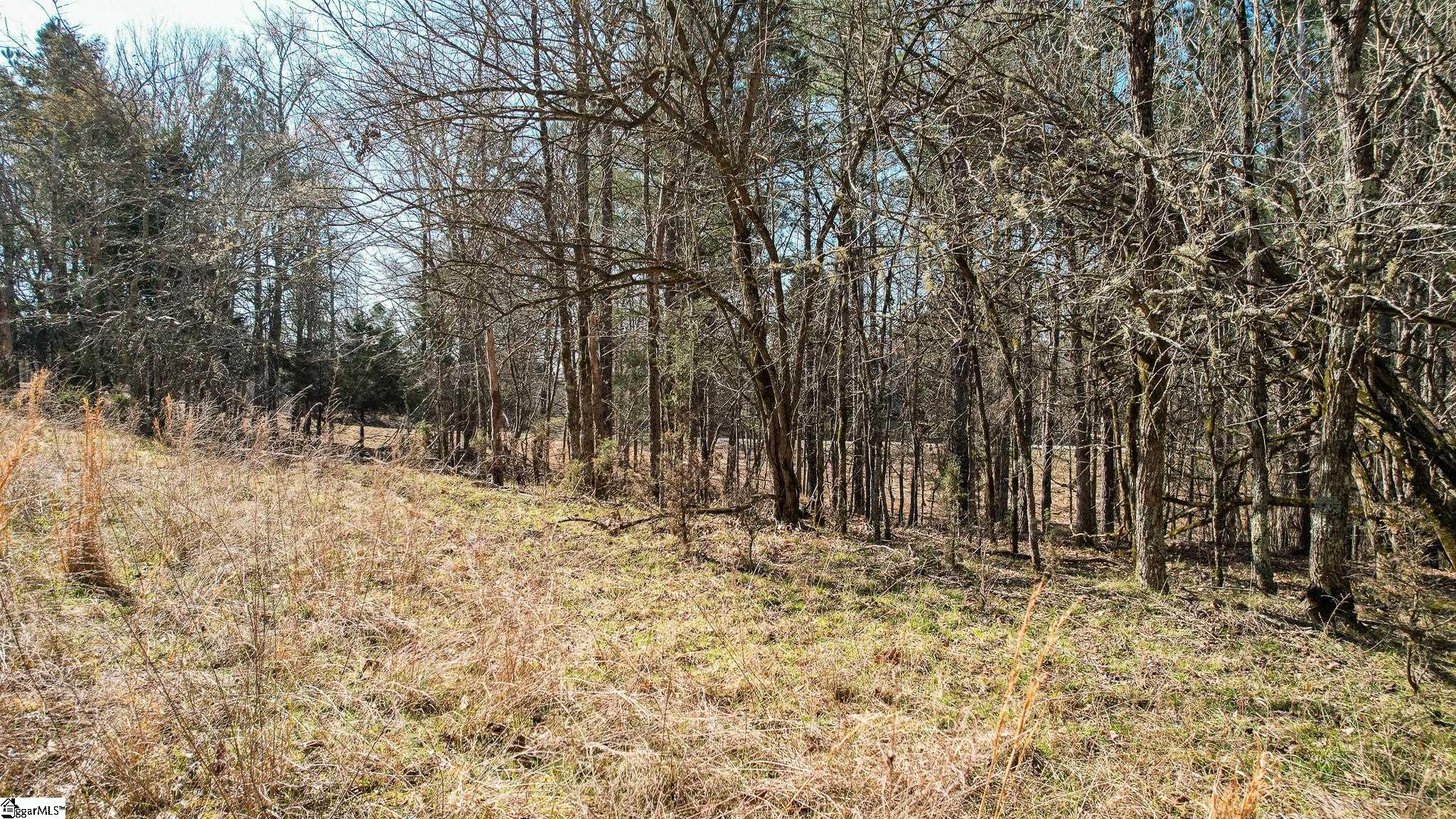 10 Neal Shoals Road Union, SC 29379 - Photo 10 of 19 Gallery Image 10