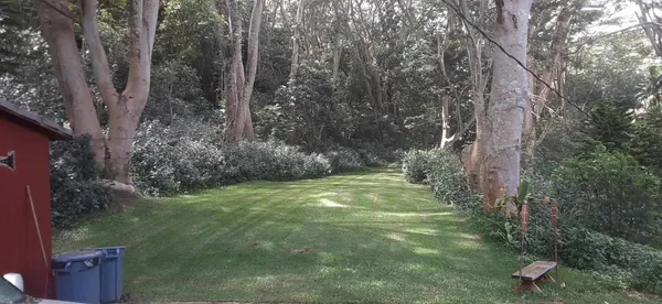 a backyard of a house with lots of green space