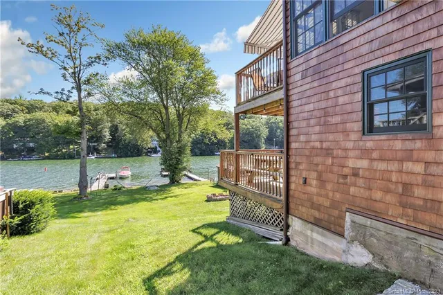 a view of a backyard with plants and large tree