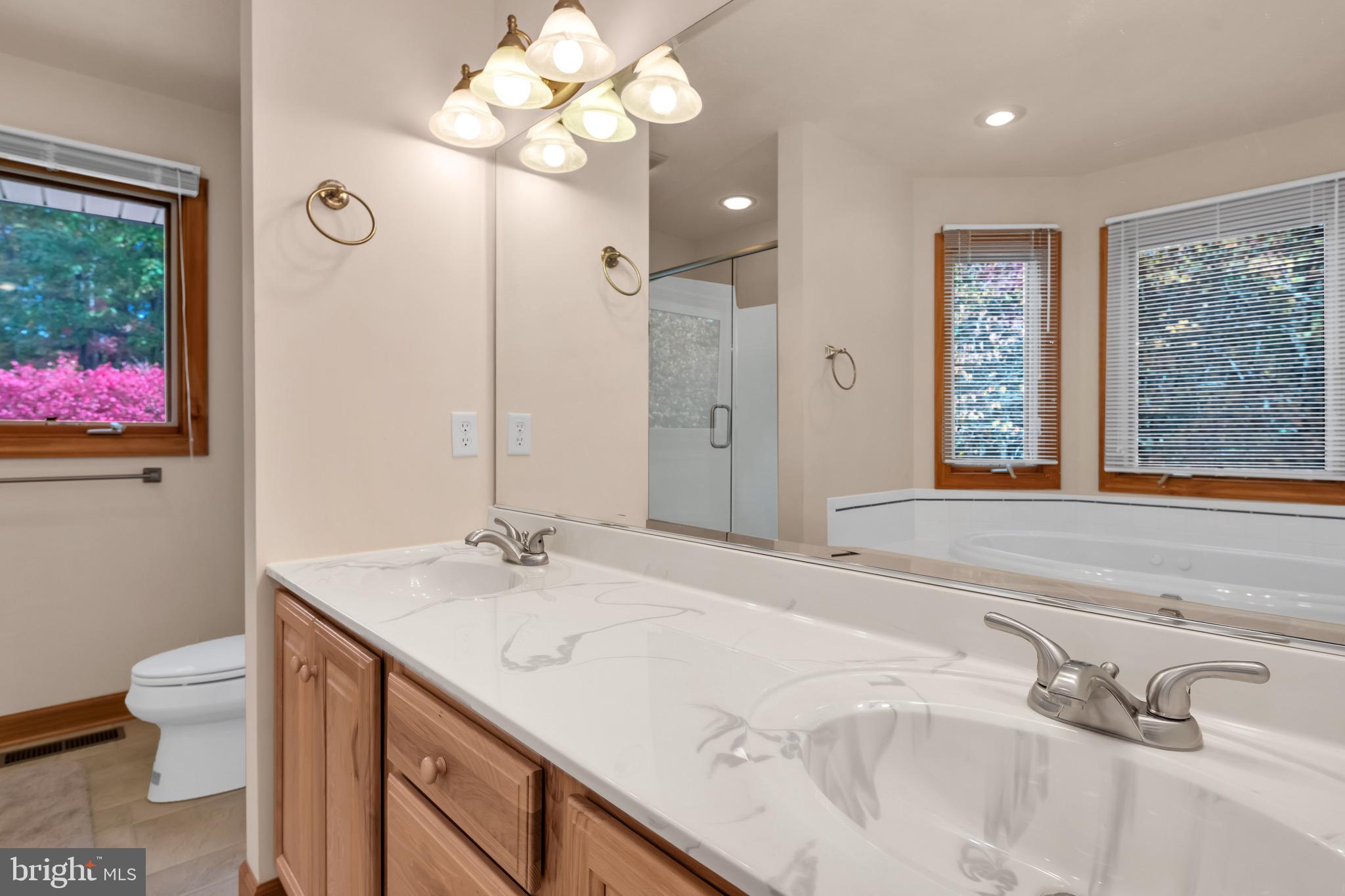 179 Miller Road Basye, VA 22842 - Photo 23 of 59 Master Bath With Double Vanity