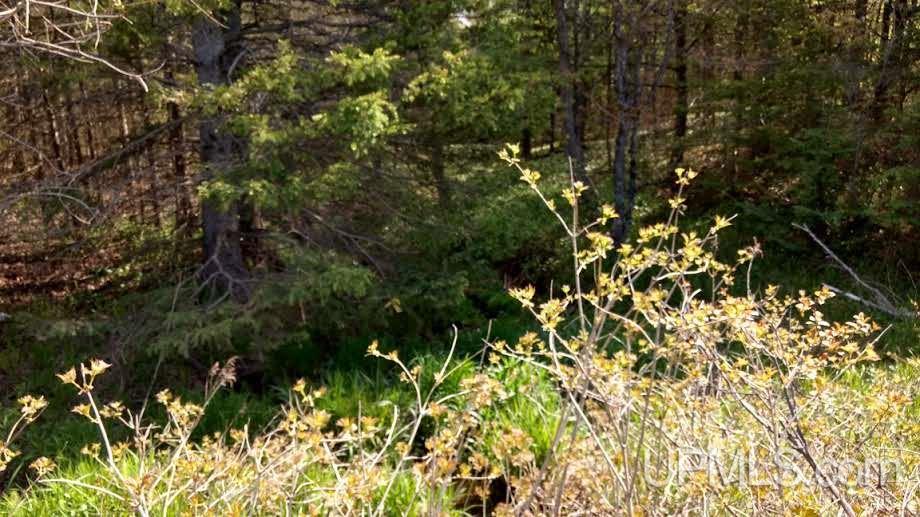 Tbd Boundary Road Chassell, MI 49931 - Photo 14 of 15