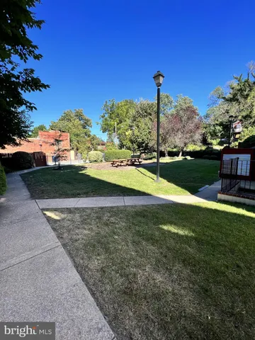 a view of a park with large trees