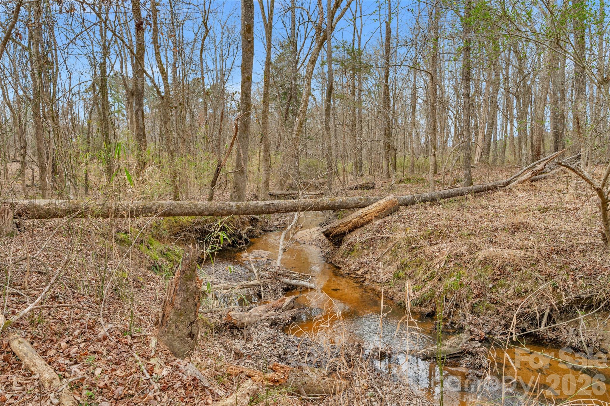 0 Coldstream Road Heath Springs, SC 29058 - Photo 15 of 31 Gallery Image 15