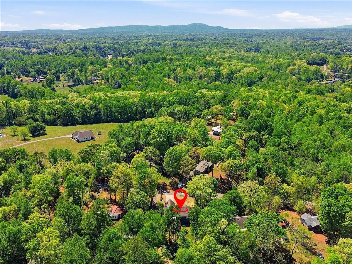 1494 South McElhaney Road Greer, SC 29651 - Photo 41 of 44