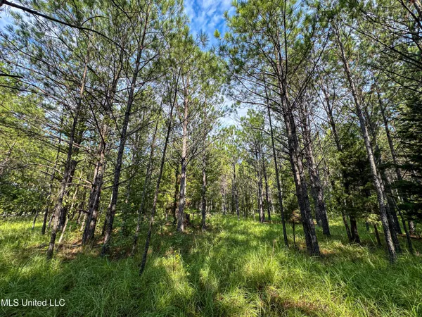$275,000 | 1 Highway 82 Maben Ms 39750, Maben, MS 39750