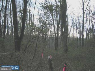 Lot 15 Jackaway Road Jamison, PA 18929 - Photo 1 of 10 Gallery Image 1