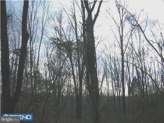 Lot 15 Jackaway Road Jamison, PA 18929 - Photo 2 of 10 Gallery Image 2