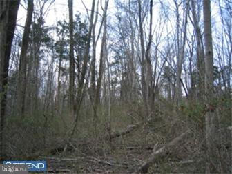 Lot 15 Jackaway Road Jamison, PA 18929 - Photo 3 of 10 Gallery Image 3