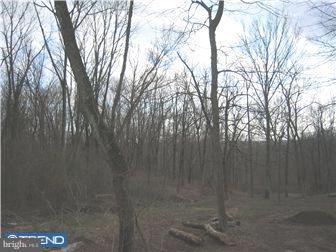 Lot 15 Jackaway Road Jamison, PA 18929 - Photo 6 of 10 Gallery Image 6
