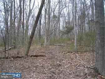 Lot 15 Jackaway Road Jamison, PA 18929 - Photo 7 of 10 Gallery Image 7