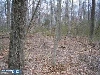 Lot 15 Jackaway Road Jamison, PA 18929 - Photo 9 of 10 Gallery Image 9
