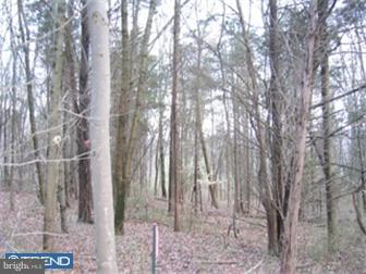 Lot 15 Jackaway Road Jamison, PA 18929 - Photo 10 of 10 Gallery Image 10