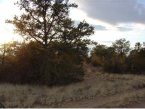 0 Indian Ruin Road Prescott, AZ 86305 - Photo 12 of 12 Additional Photo
