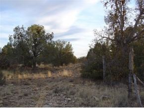 0 Indian Ruin Road Prescott, AZ 86305 - Photo 4 of 12 Additional Photo