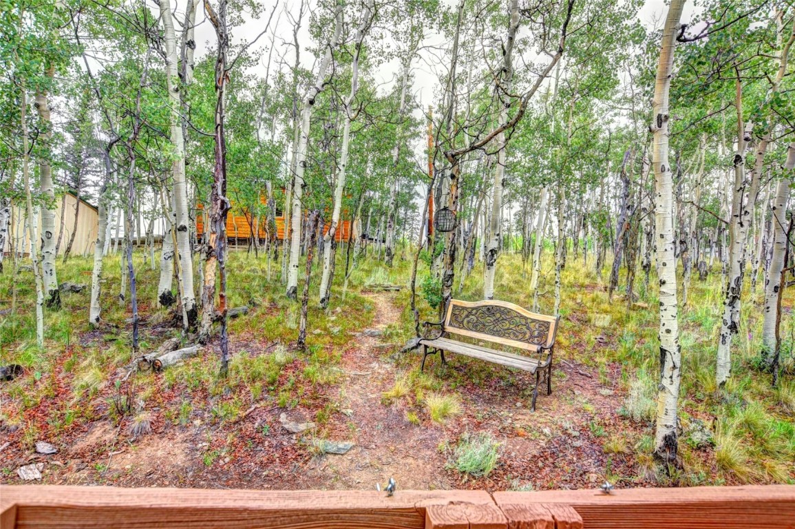 567 Haida Road Como, CO 80456 - Photo 26 of 50 a backyard of a house with lots of green space