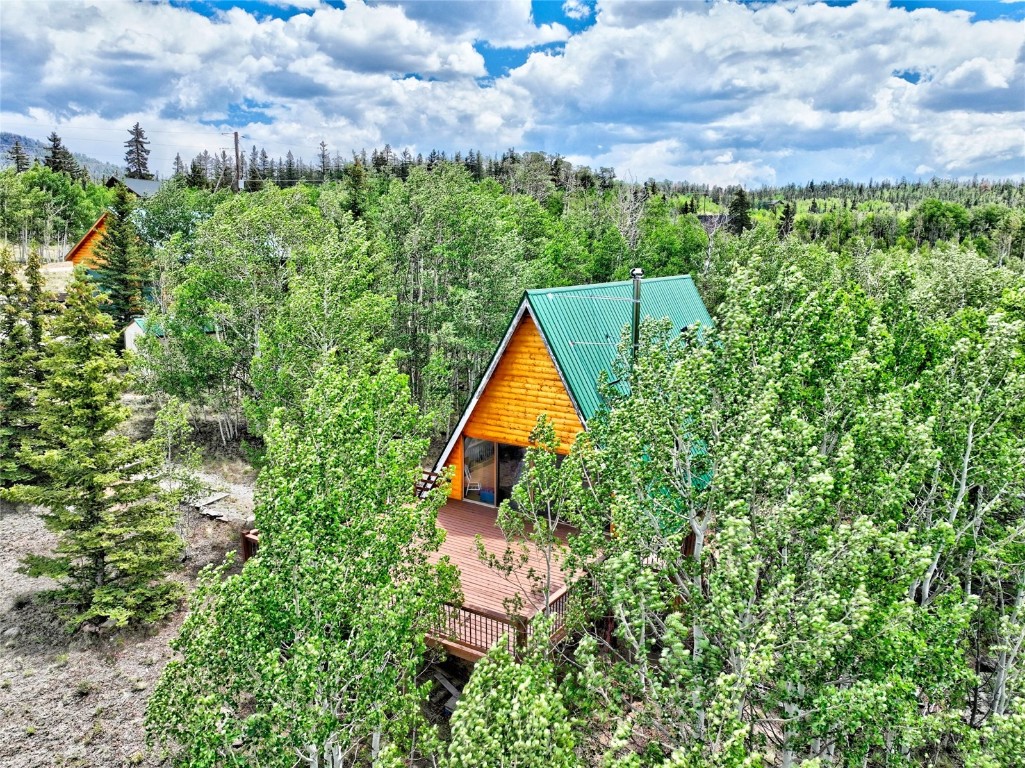 567 Haida Road Como, CO 80456 - Photo 46 of 50 a view of a garden with a house in the background