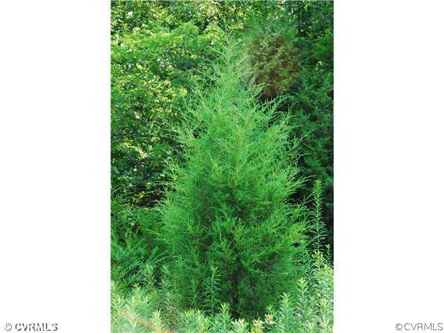 33115 A Mt Gideon Road Hanover, VA 23069 - Photo 3 of 5 Exterior Front - Buy this Tract and Cut Your Own T