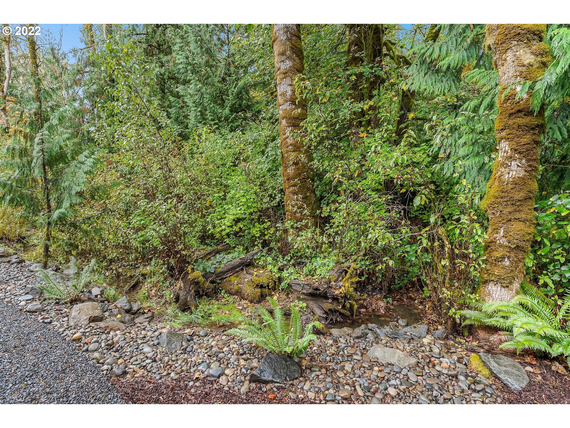 2301 Northeast 169th Circle Ridgefield, WA 98642 - Photo 28 of 28 Gallery Image 28