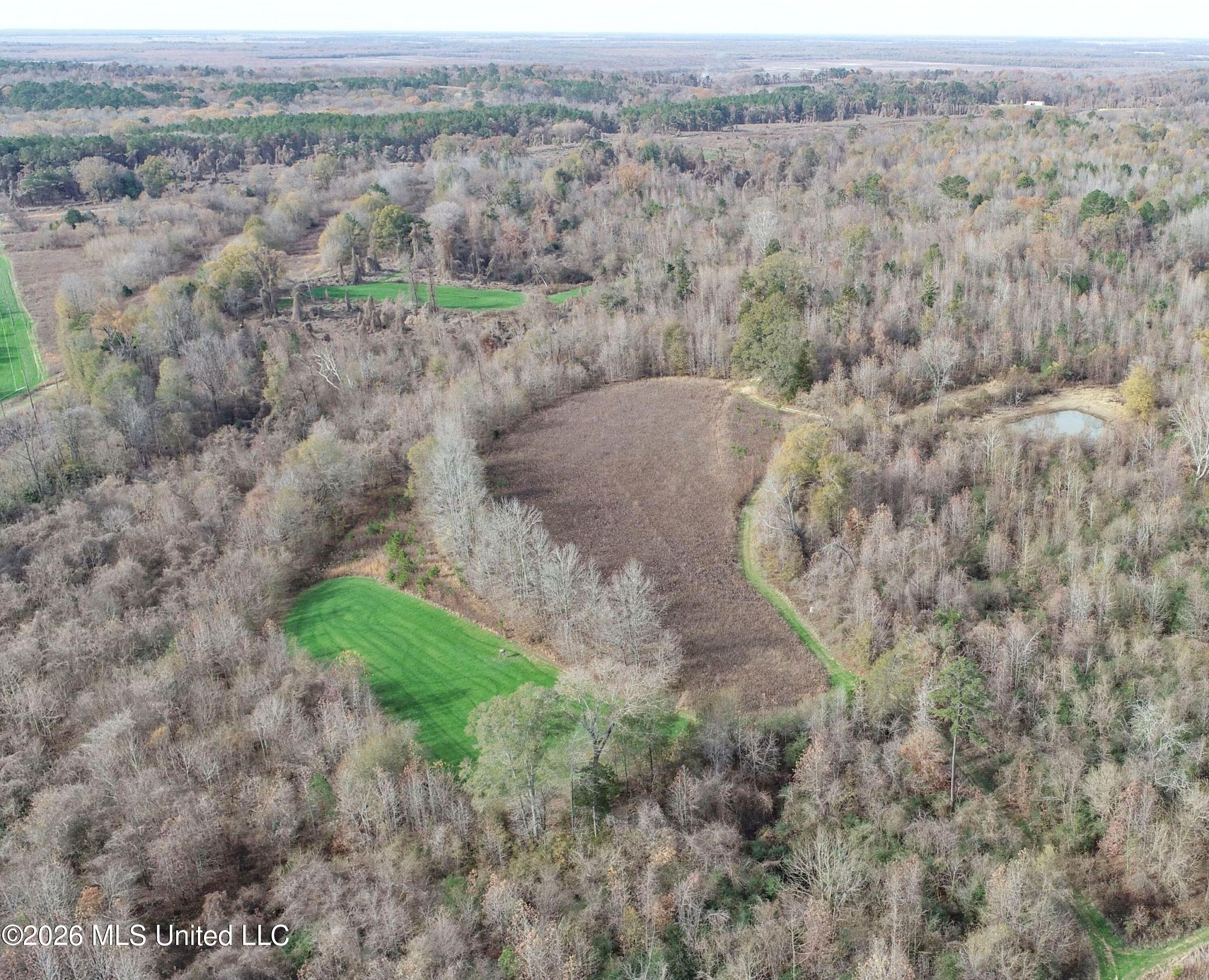 Chinqupin Road Lexington, MS 39095 - Photo 41 of 210 5chqpn28