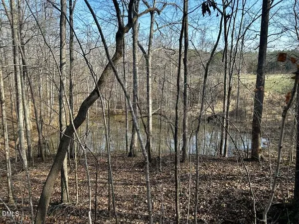 $85,000 | 11.05-acre Elmore Road, Leasburg, NC 27291