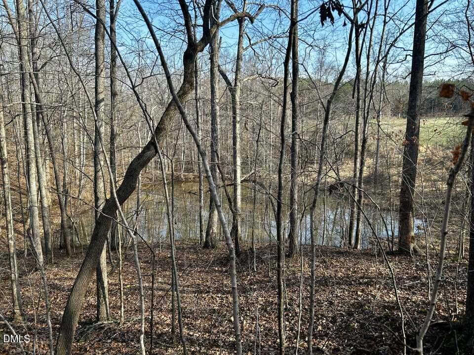 11.05-acre Elmore Road Leasburg, NC 27291 - Photo 2 of 5 647062385_3341945052649829_8020462397313